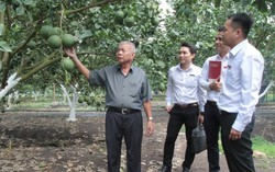 Ngân hàng Agribank với hành trình mang dấu ấn 'Tam nông'