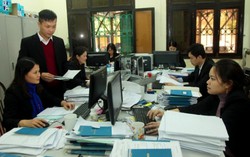 50% doanh nghiệp trốn đóng BHXH cho người lao động