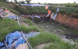 Nghệ An: Xưởng tinh bột sắn hoạt động không phép, người dân mất ăn, mất ngủ vì ô nhiễm