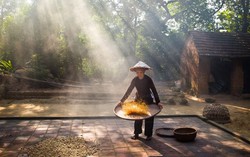 Trở về tuổi thơ với khoảng sân nhà ngập nắng 