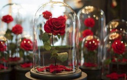 Sát ngày Lễ tình yêu, thị trường quà tặng Valentine vẫn im ắng