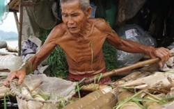 Cá lồng chết trắng sông Mã