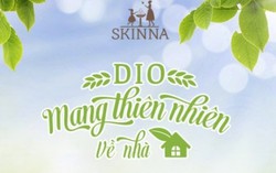 Do It Yourself - mang thiên nhiên vào nhà
