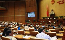 Nhiều đại biểu đồng ý với đề xuất kéo dài thí điểm cấp thị thực điện tử