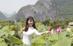 Nhiếp ảnh gia hướng dẫn chị em có bộ ảnh đẹp tại đầm sen