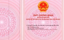 Chủ đầu tư không chịu làm sổ hồng cho cư dân có bị phạt?