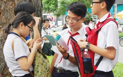 100% học sinh lớp 7 tại TPHCM được khảo sát năng lực trực tuyến