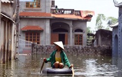 Nhiều hệ thống hạ tầng làm giảm khả năng thoát lũ của các sông