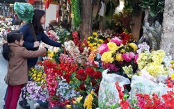 Hoa giả Tết đắt hàng không kém gì hoa tươi 