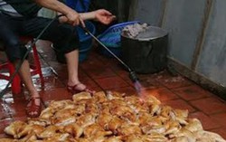35% ung thư là do chế độ ăn