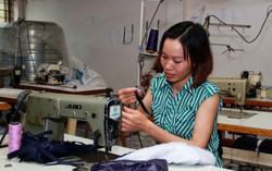 TYM đã hỗ trợ hơn triệu lượt phụ nữ vay vốn thoát nghèo bền vững