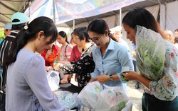 Kết nối tiêu thụ nông sản an toàn do phụ nữ kinh doanh, sản xuất