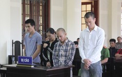 Lên kế hoạch xiết nợ, người phụ nữ cùng đồng bọn lĩnh án tù 