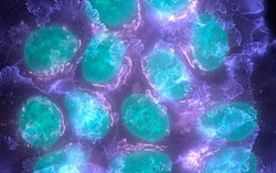 Ứng dụng công nghệ biến đổi gene mở ra kỷ nguyên mới điều trị ung thư