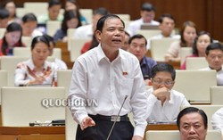 Dịch tả lợn châu Phi gây ra ‘khủng hoảng thiếu’ thịt lợn vào cuối năm 2019?