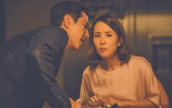 'Kí sinh trùng' nhận giải thưởng cao nhất của Liên hoan phim Sydney 2019