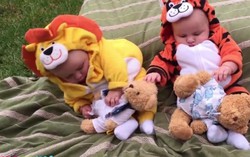Hài hước những cú ngã như lật đật của bé