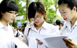 Tự tin đăng kí 1 nguyện vọng, thí sinh 28 điểm trượt thẳng cẳng