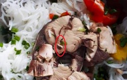 Đà Nẵng xác minh vụ việc có sán trong suất bún cá của công nhân