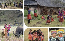 Ngắm đất nước, con người Việt Nam qua Triển lãm Hành trình Di sản 2017