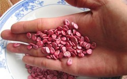 Tránh màu sặc sỡ khi chọn hạt dưa ăn Tết