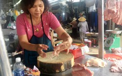 Lo ngại tỉ lệ thịt chứa vi khuẩn viêm dạ dày