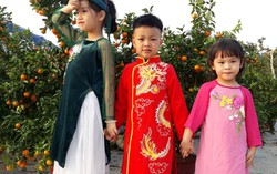 Nghệ An: Tưng bừng không khí Tết trên thành phố Vinh