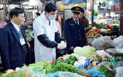 Tập trung kiểm soát, phòng tránh ngộ độc thực phẩm dịp Tết Kỷ Hợi