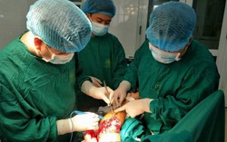 Ấu trùng lúc nhúc trong cánh tay hoại tử