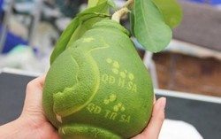 Hơn 2 triệu đồng một cặp 'bưởi chủ quyền'