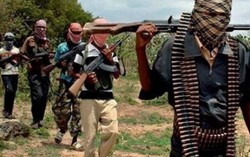 Hàng vạn trẻ em mồ côi, phụ nữ góa chồng do khủng bố Boko Haram