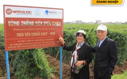 Lựa chọn trước 'rừng' sản phẩm điều trị tiểu đường
