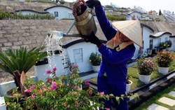 Làm việc tại nghĩa trang liệt sỹ sẽ được hưởng phụ cấp độc hại