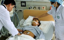 Ăn rau phun thuốc diệt cỏ, 5 người cấp cứu