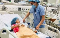 Chị tử vong, em bị ngộ độc do ăn thịt cóc