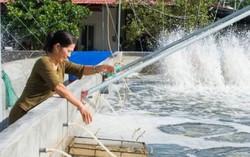 TYM đã hỗ trợ hơn 120.000 phụ nữ thoát nghèo bền vững