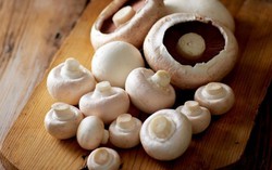 Chọn nấm mỡ cho bữa ngon cuối tuần