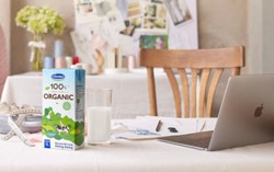 Organic - lối sống được ưa chuộng tại Mỹ và châu Âu