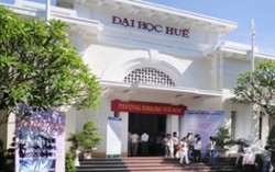 Đại học Huế giảm 50% học phí cho tân sinh viên 4 tỉnh cá chết