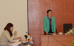 Phối hợp triển khai hiệu quả 2 đề án liên quan đến phụ nữ
