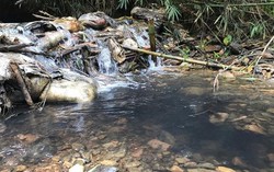 Vụ nước sinh hoạt nhiễm hóa chất: Nghi phạm được thuê đổ chất thải với giá 7 triệu đồng