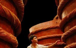 Có kết quả kiểm tra Vinastas trong 10 ngày
