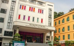 Bảo tàng Phụ nữ Việt Nam tuyển dụng viên chức năm 2019