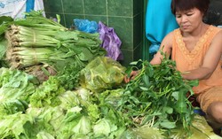 Chợ Sài Gòn, giá rau xanh tăng gấp đôi