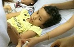 13 học sinh tiểu học đi cấp cứu vì ăn hạt ngô đồng