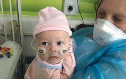 Em bé có thể tử vong chỉ vì một nụ hôn