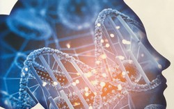 Ứng dụng trí tuệ nhân tạo giải mã gene bằng nước bọt do người Việt phát triển