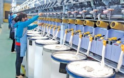 Hiệp định CPTPP: Sức cạnh tranh hàng hóa Việt Nam thấp nhất trong khối