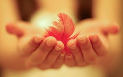 Con gái trót yêu thầm anh rể