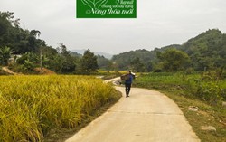 Làm đường, khâu đột phá xây dựng nông thôn mới ở Pác Phai